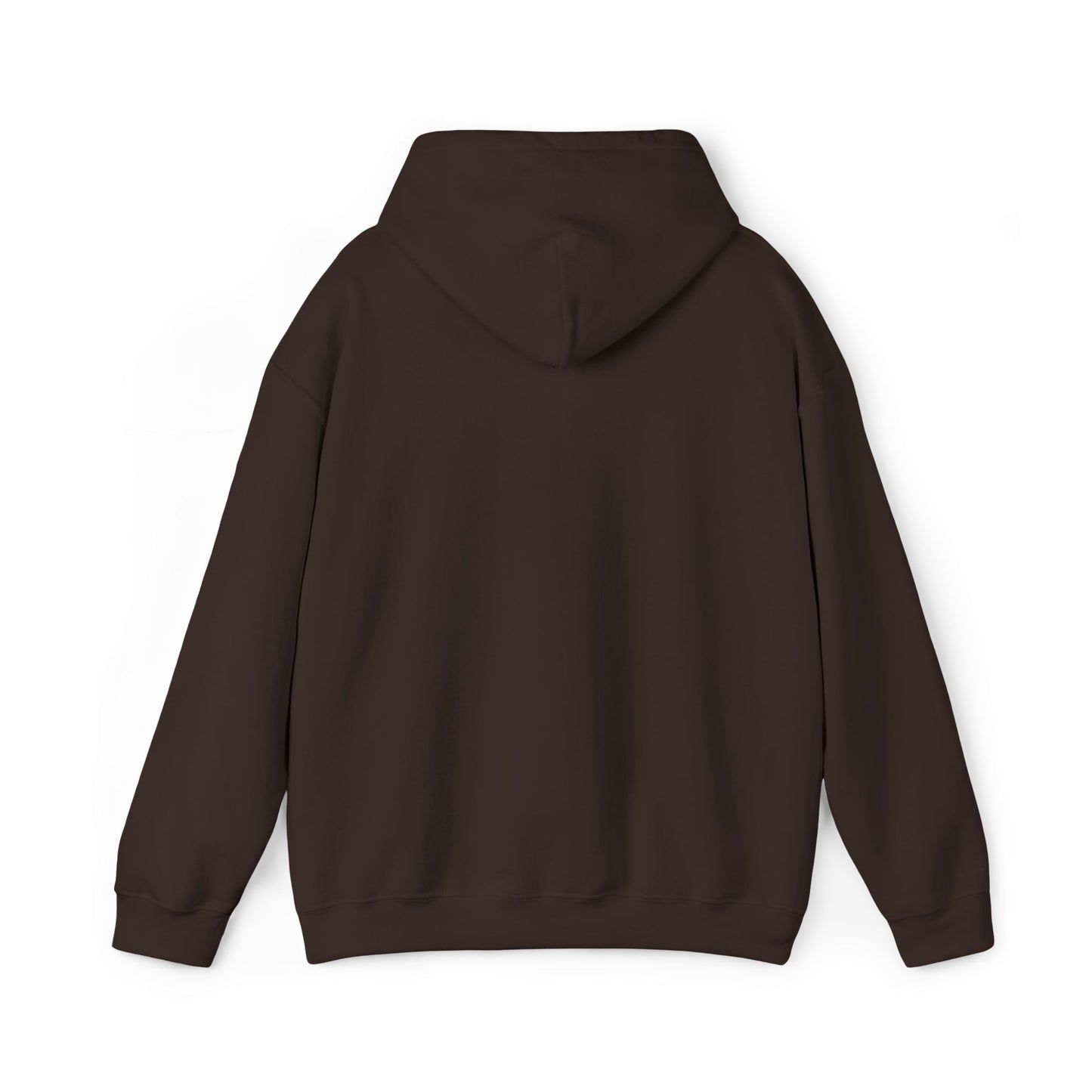 Fall Color Hooded Sweatshirt