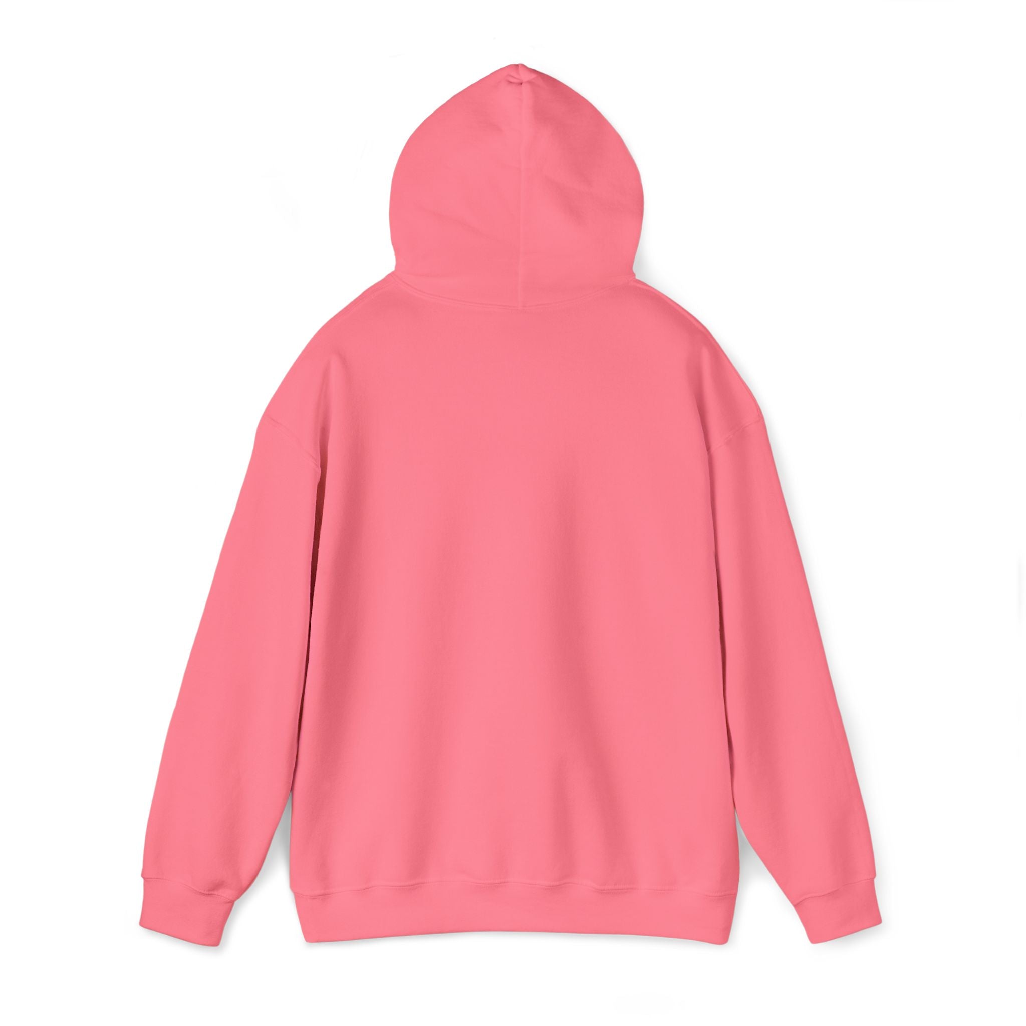 Love Collection Sweatshirt Hoodie ❤️